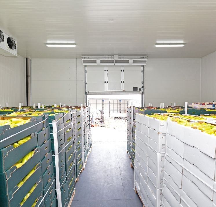 Fruit And Vegetable Cold Storages