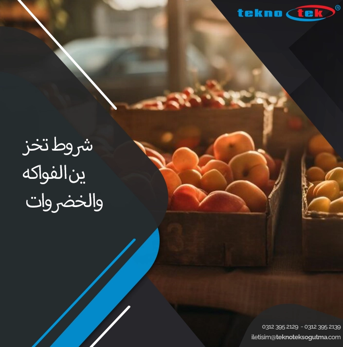 شروط تخزين الفواكه والخضروات